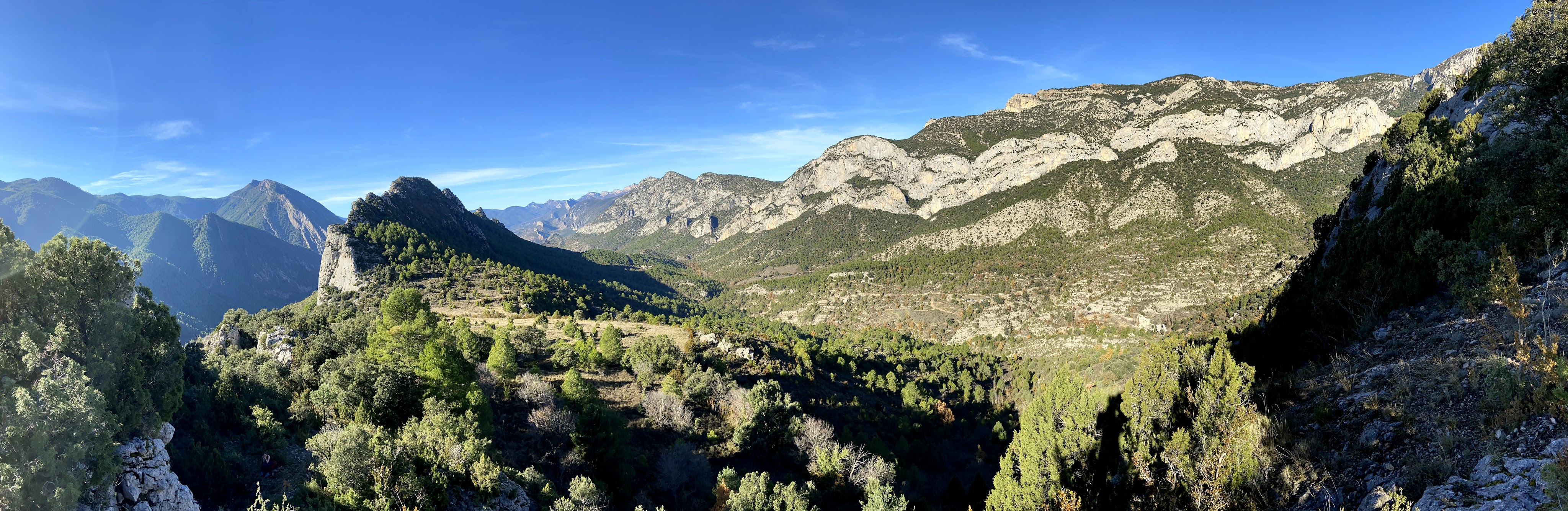 Views of Alt Urgell pre-pyreen mountains with bands of limestone in the background and lush green forests. 