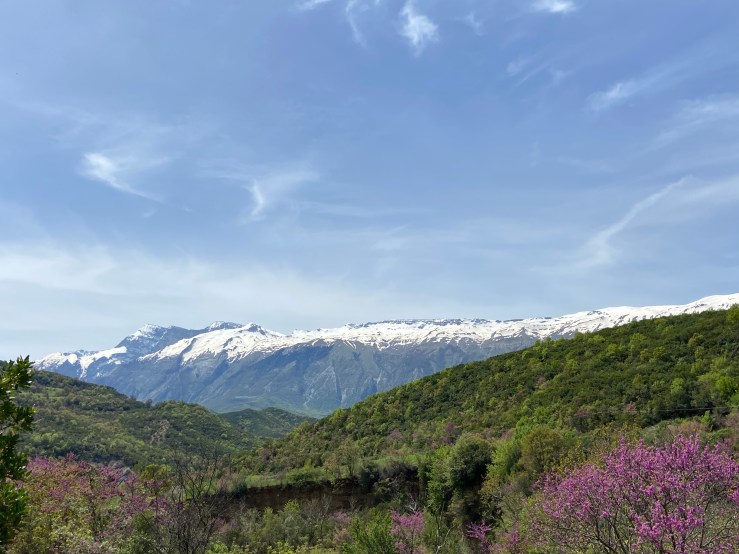 Snowy capped mountains in the background. In front are lush green trees and purple Spring blossom. 