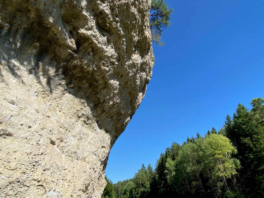 Steep white limestone cliff filled with pockets. 