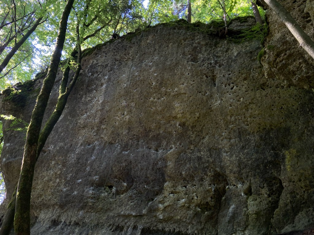 Smooth grey limestone crag filled with chalk pockets. 
