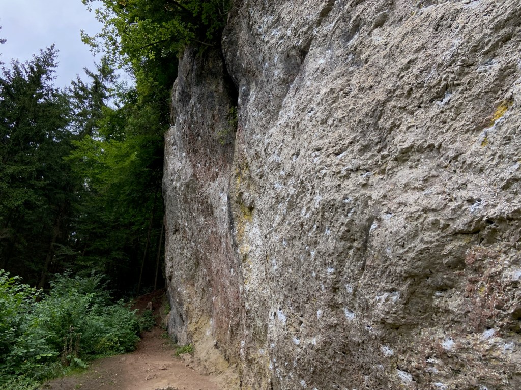 White limestone crag in a green forest 