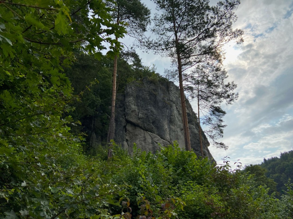 Grey limestone crag in the foreground  are lush green bushes and trees.