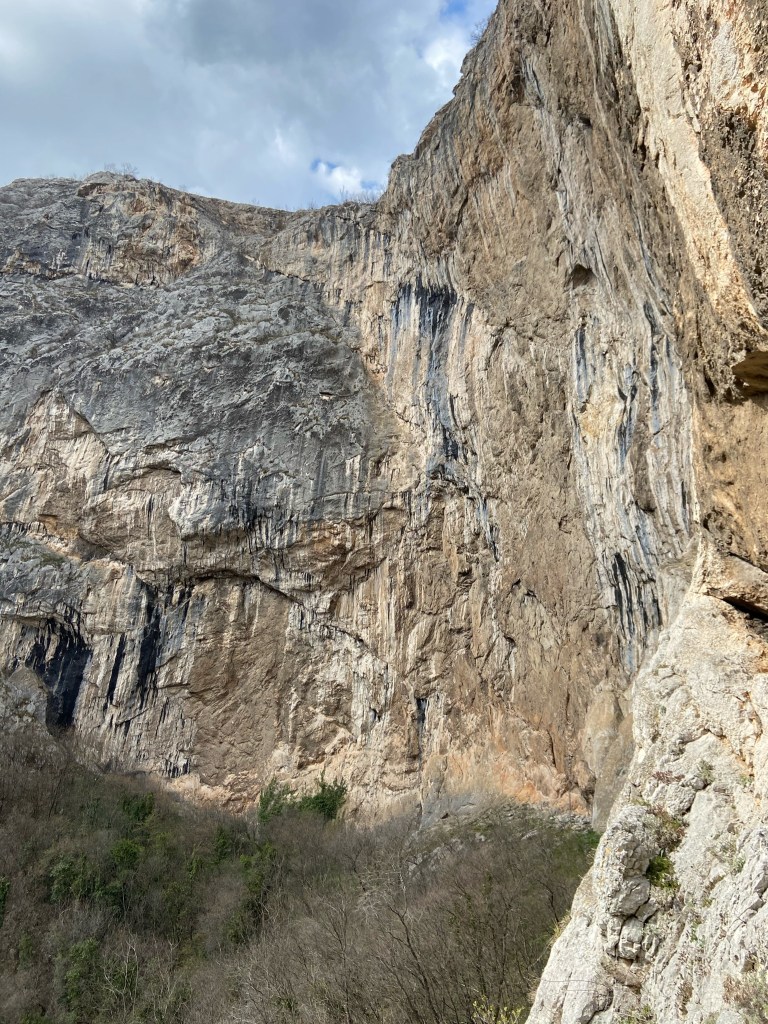 Imposing amphitheater of limestone rock which is around 70 meters or so high. It forms a gently curving wall around a forested hill. 