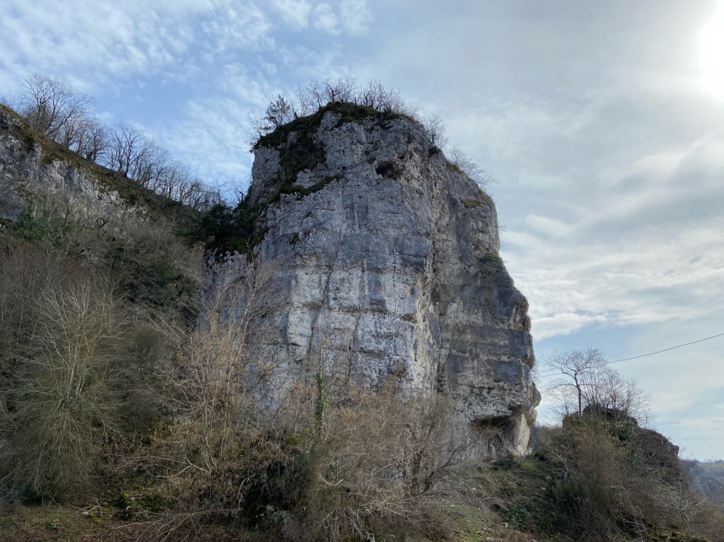 Large limestone freestanding wall with bare winter trees surrounding the base
