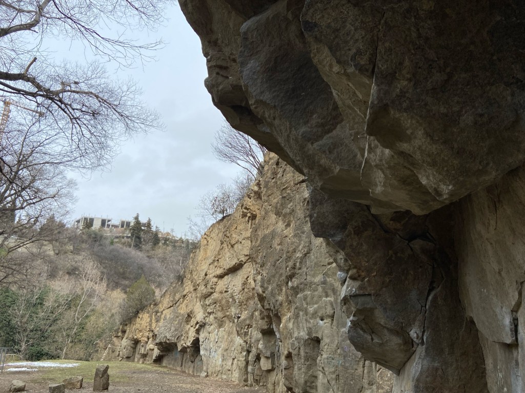Small limestone sector in the Tbilisi Botanical garden
