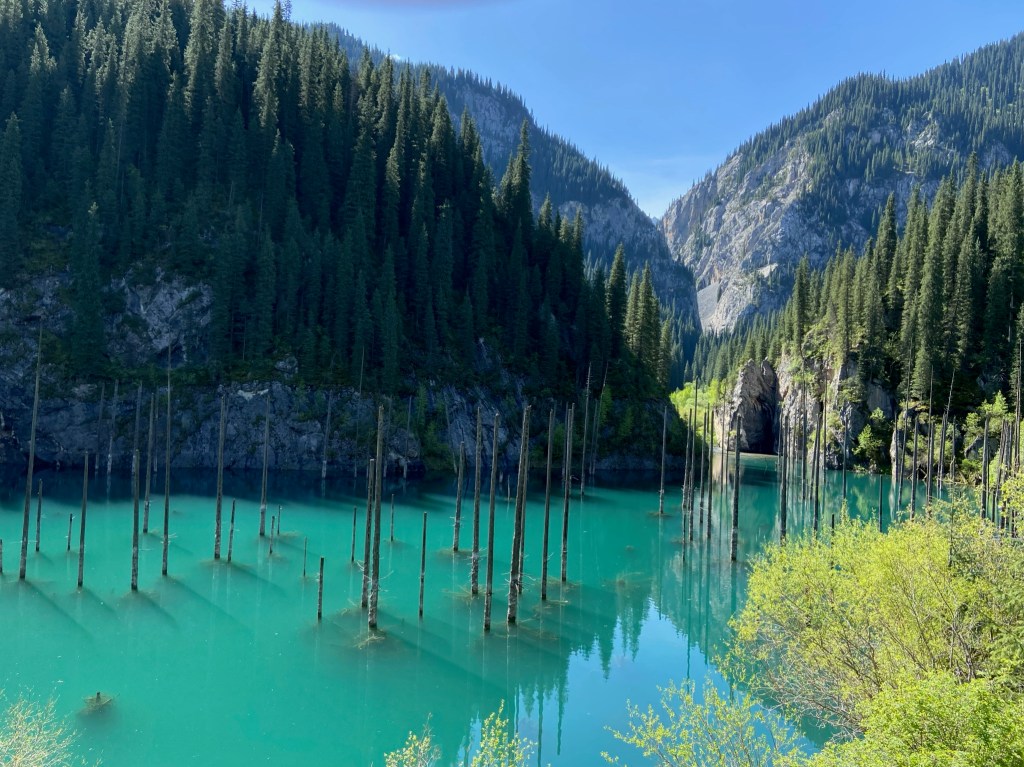 Azul blue lake with trees emerging from it. The trees are bare with no leaves or branches on them. The lake sits in a steep and rocky valley covered in pine trees