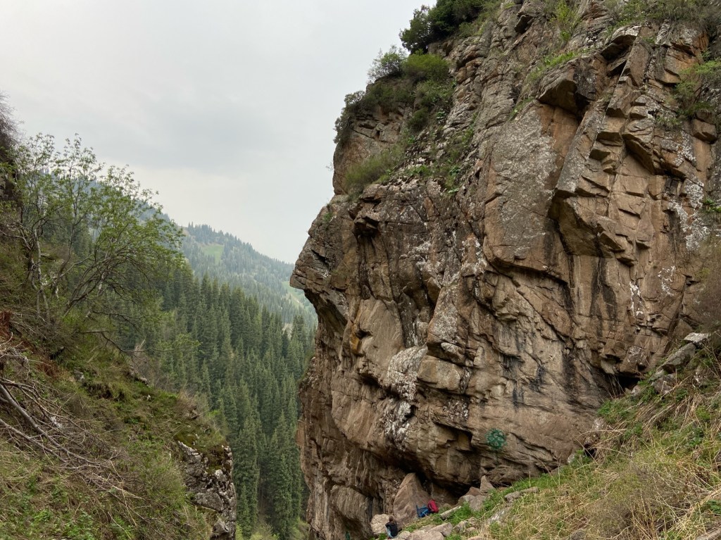 Short and steep buttress of rock with pine trees in the background.