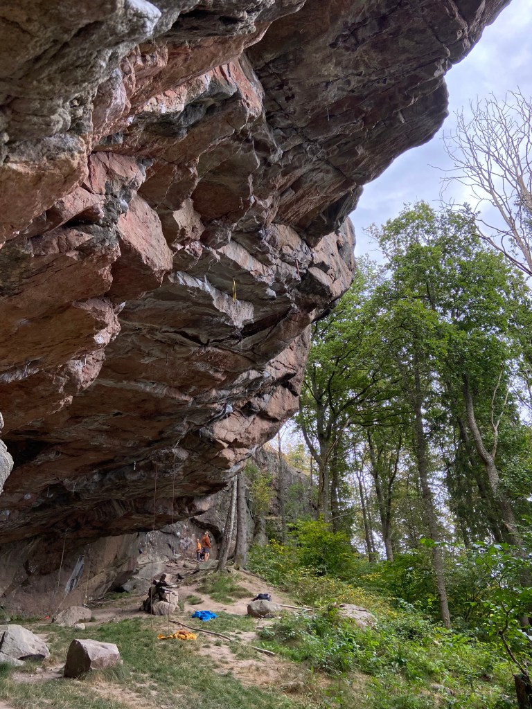 Steep, pink granite cave which large overlaps, there are quickdrawers hanging down which highlights the steepness of the cave. There is a forest in the background. 
