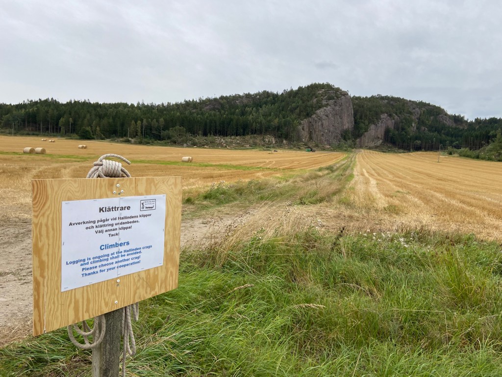 Big granite cliff of Hallinden across a big field. In the foreground is a sign which is explaining that logging is in process and climbing is not allow. On the side and top of the crag are big pine trees.