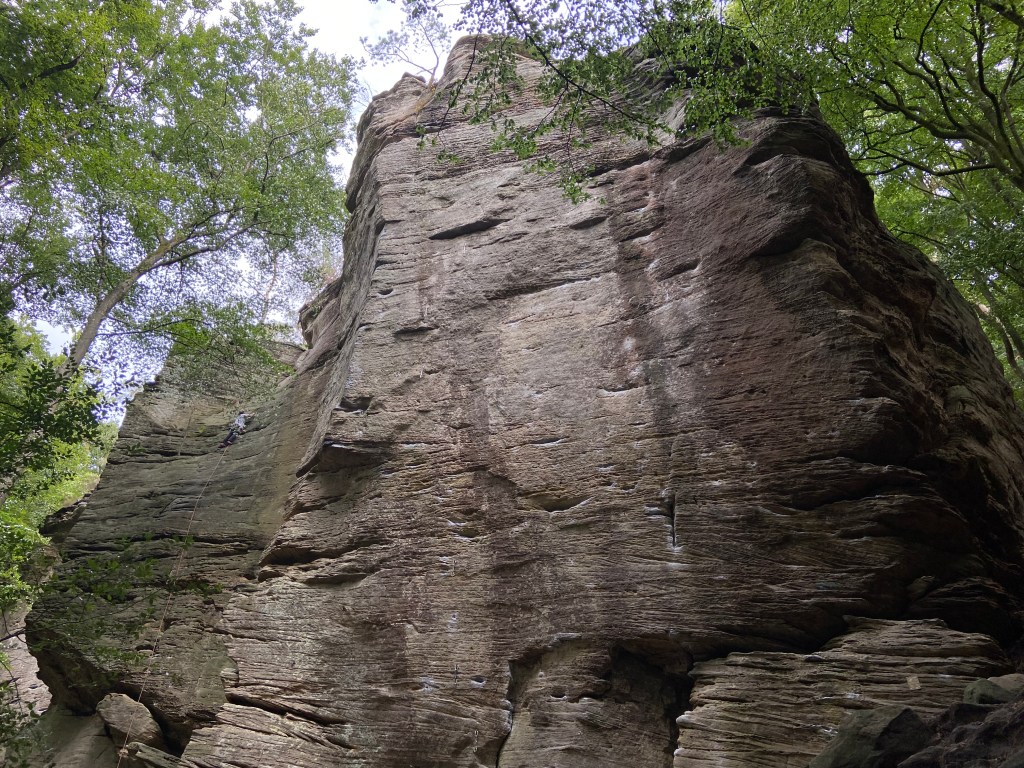 Vertical to slabby sandstone wall within the forest. There is a climber on the left hand side. The wall has different patterns and textures 