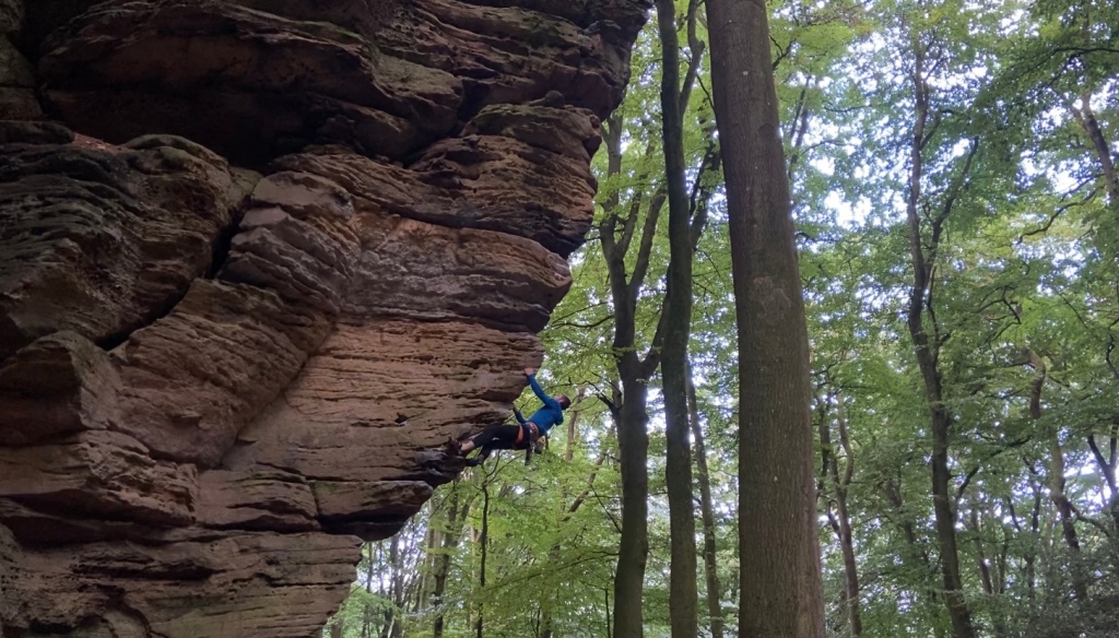 Climber on steep overhanging red sandstone arête within a forest. 