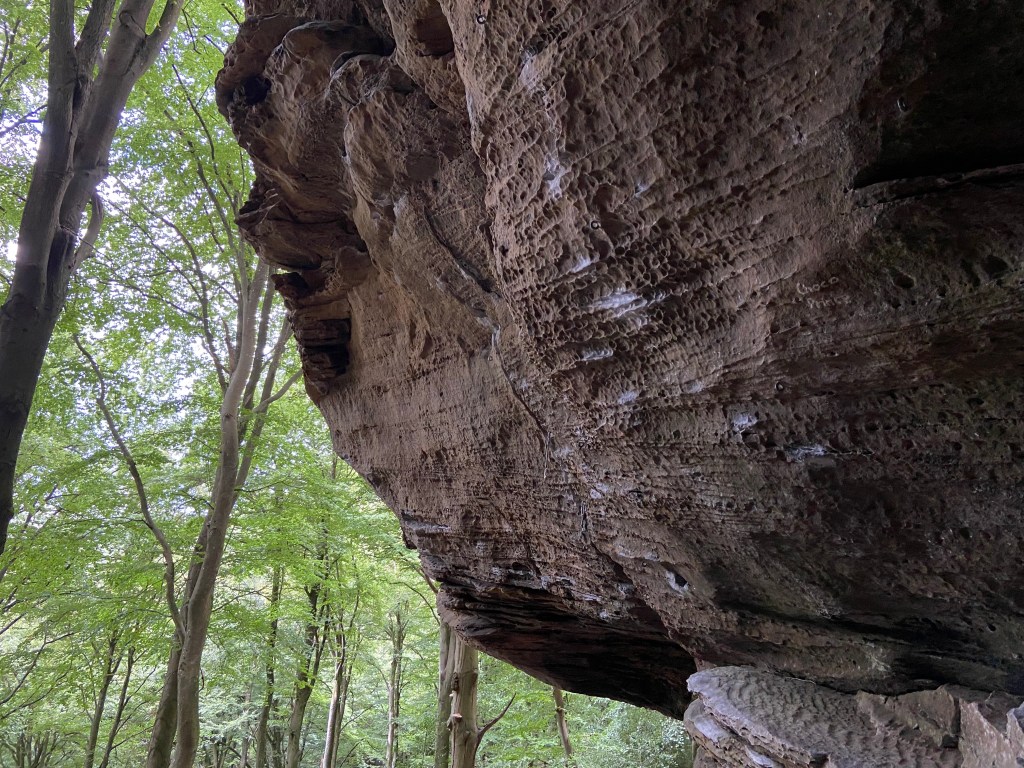 Steep sandstone wall with interesting textures with some obvious holds covered in chalk. 