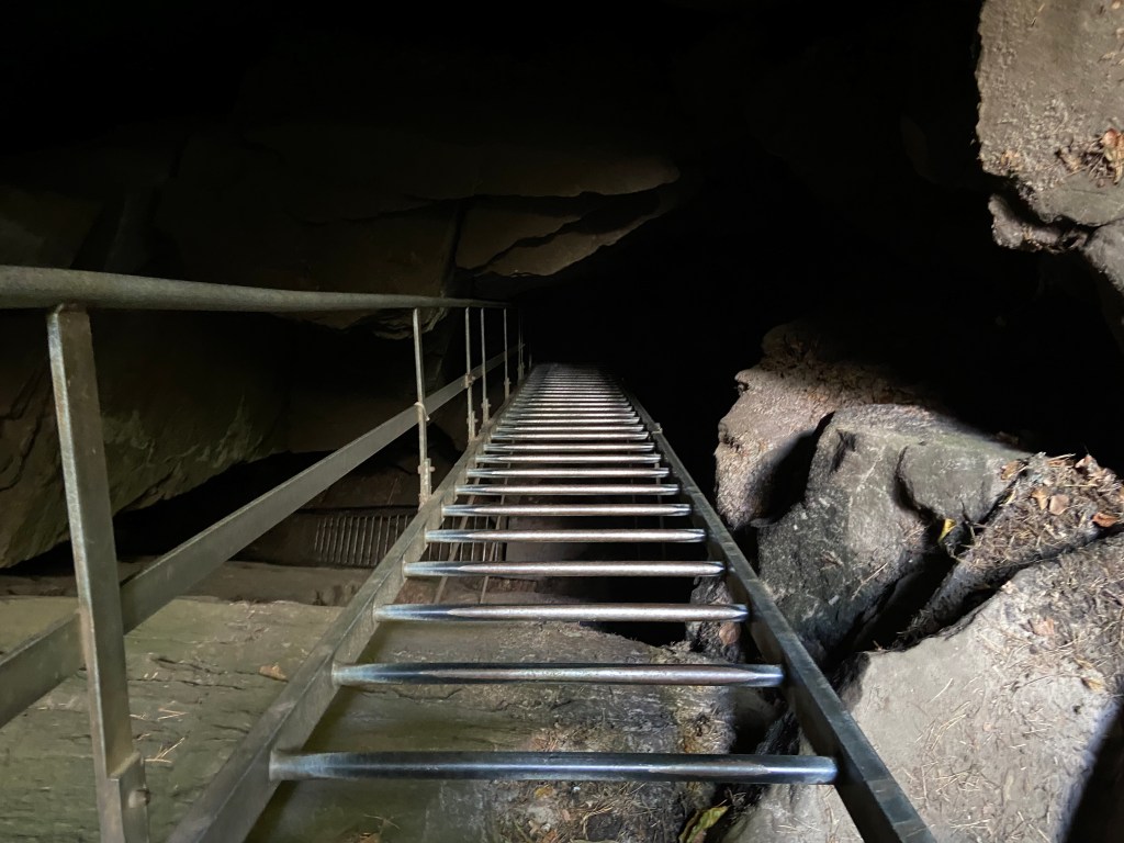A set of metal ladders appearing from the depth of the canyon.