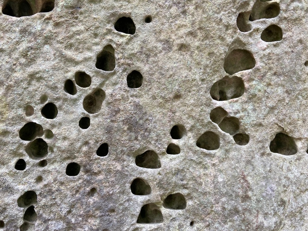 Deep sandstone pockets in a light coloured sandstone.