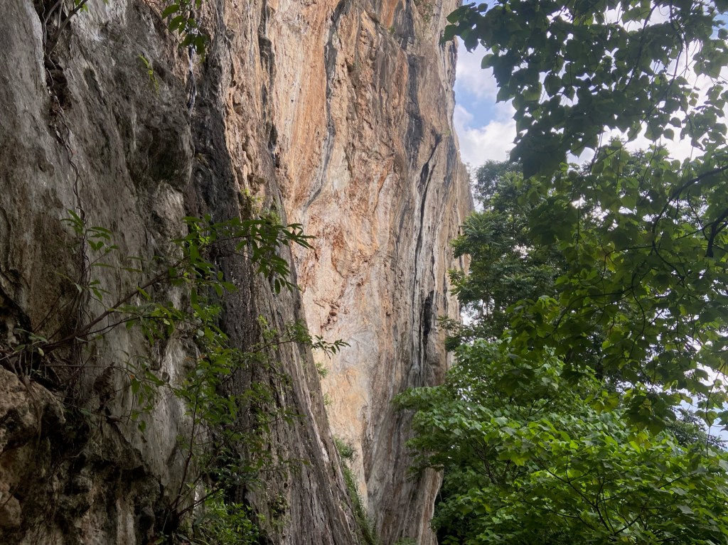 Clean vertical limestone cliff at Nyamuk in Kuala Lumpur city.