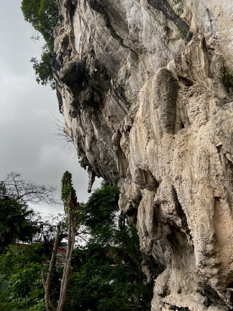 Short and steep limestone wall covered in tufas. Some of the tufas are free hanging.