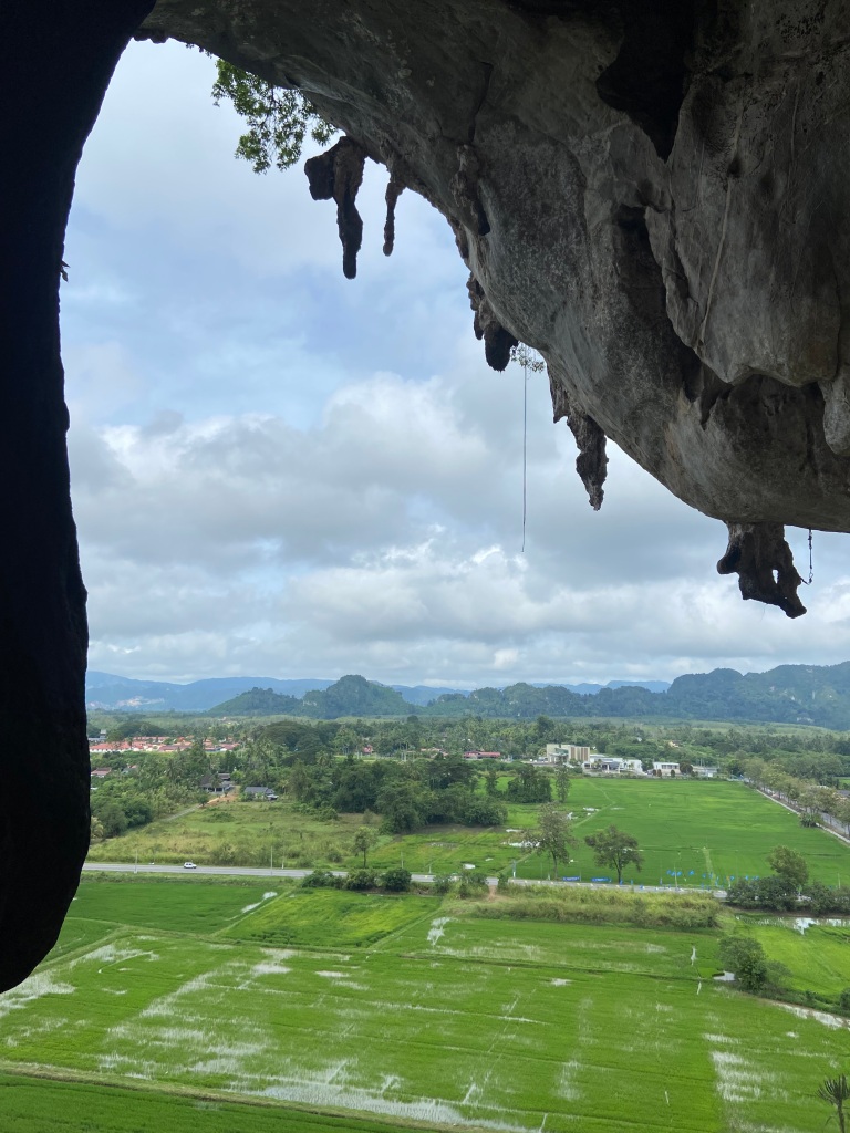 Looking out of limestone cliff with tufas dripping from the steep roof. Looking out over the rice paddies with some jungle covered mountains in the background. 