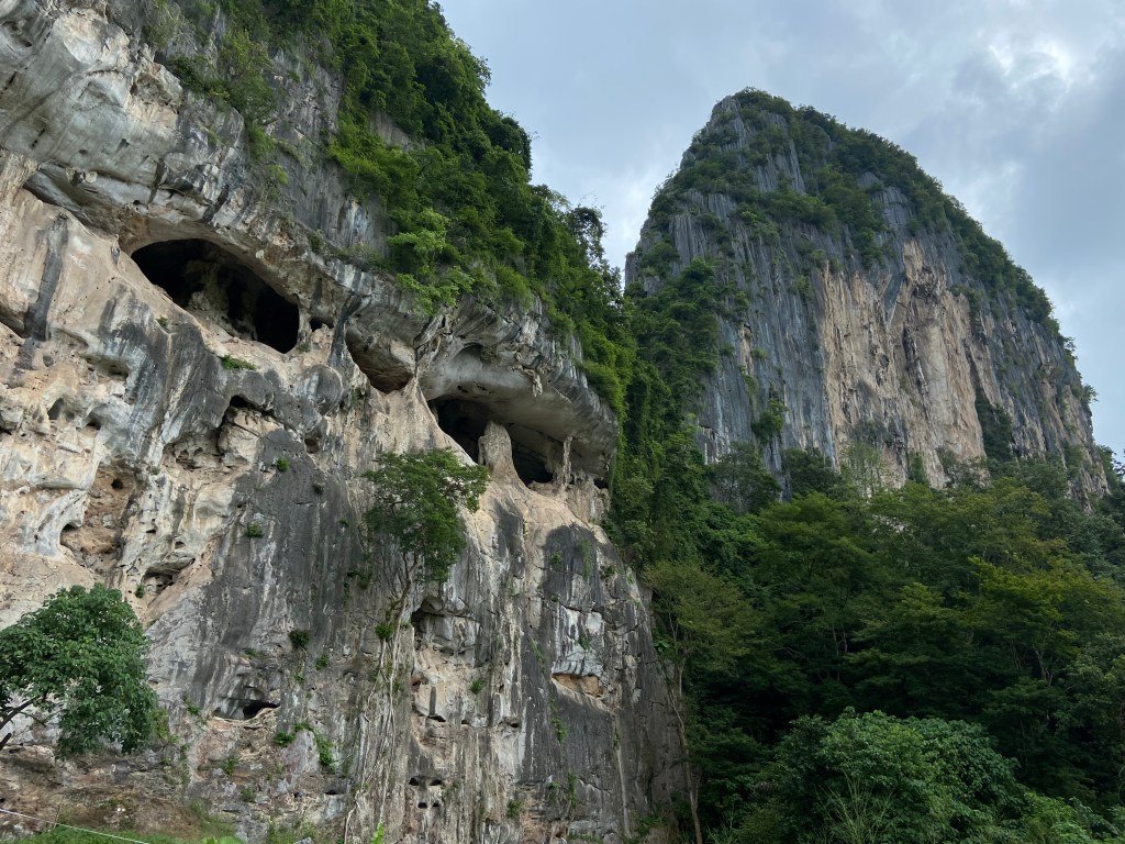 Two limestone cliffs erupting from the ground. The cliff in the background is grey with a white section in the middle and is heavily featured with vertical cut outs and tufas.
In the foreground is the climbing area at Bukit Keteri which has some eye like caves in the upper half.