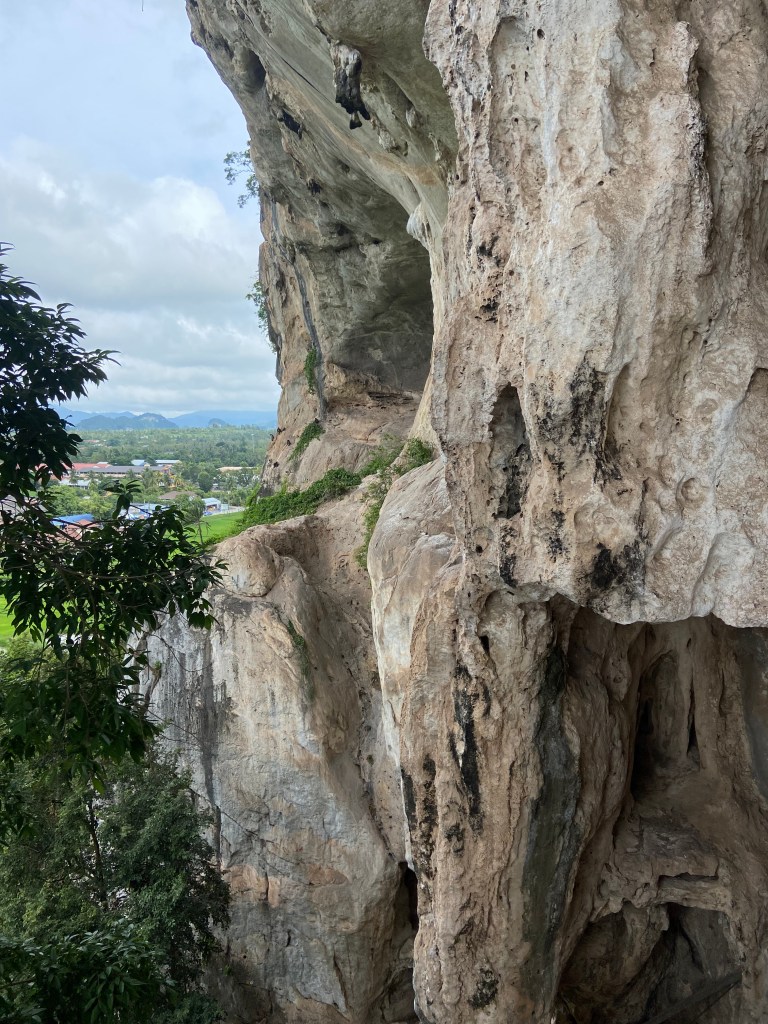Small group of monkeys sat in a white limestone cave high up in the climb taking in the view