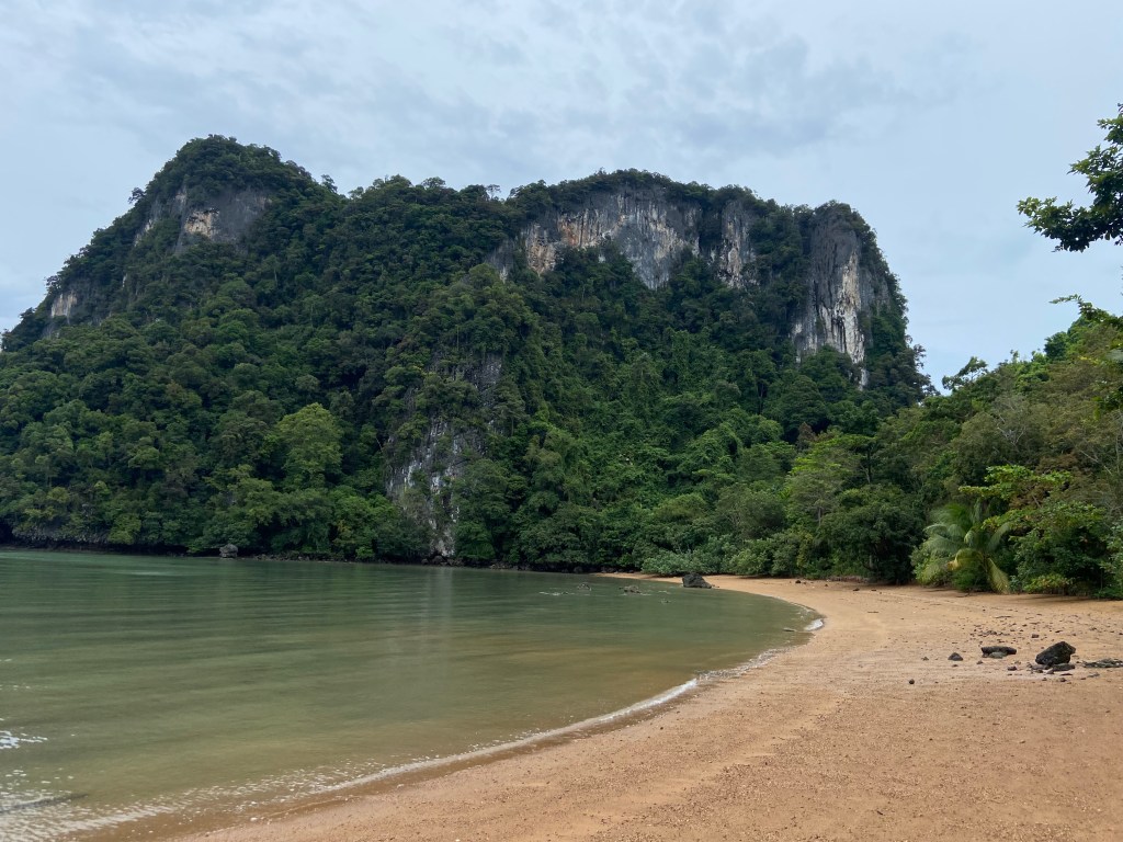 Grey and white limestone cliff rising up from the beach within the jungle on Koh Yao Noi