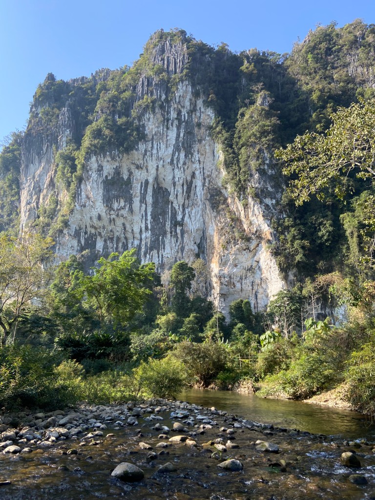 White limestone cliff marked with grey watermarks down it. There is forest at the top and bottom of the cliff