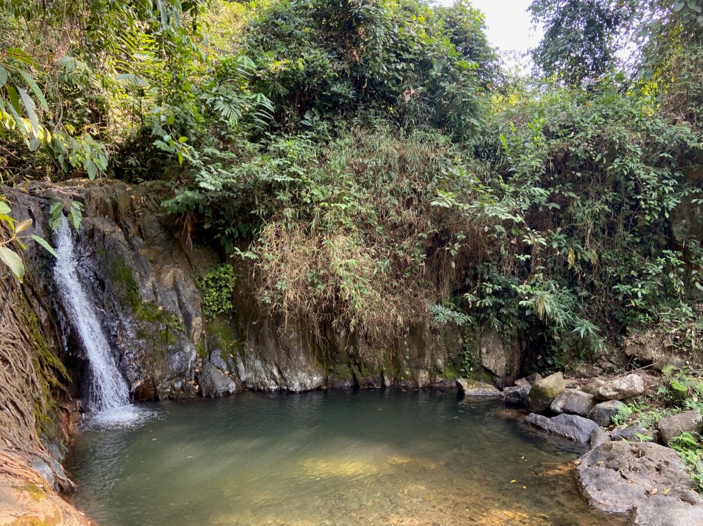 Small waterfall running into a pool in a small limestone bowl. The outside is filled with lush green vegetation.  