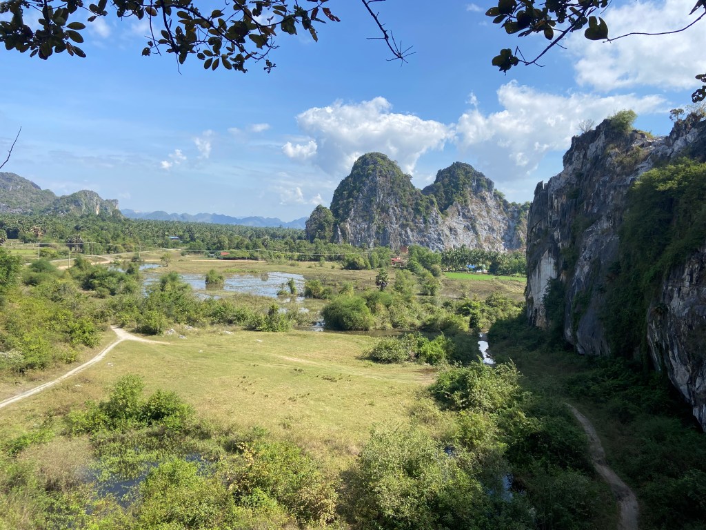 Limestone cliffs rising out of the lush flat rice paddies with some more small mountains in the background.