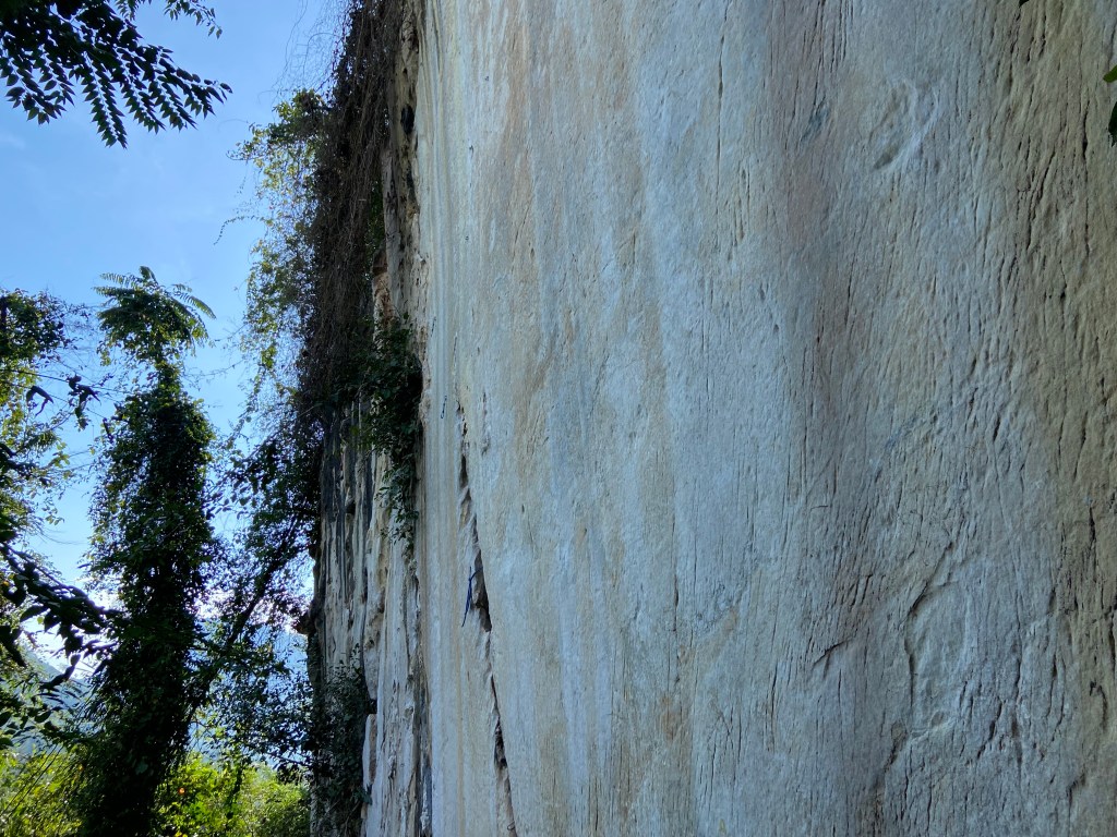 Blank vertical piece of white limestone with a few shallow marks on its surface.