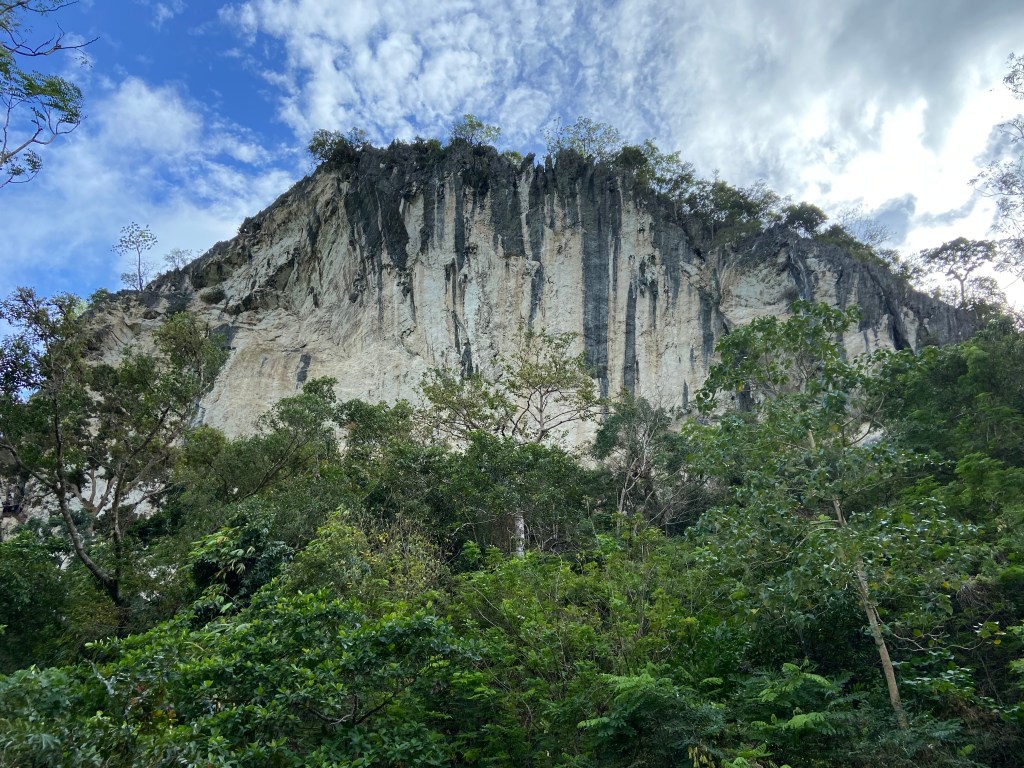 An imposing blue, grey and white limestone crag of Igcabugao rising up from the jungle.
