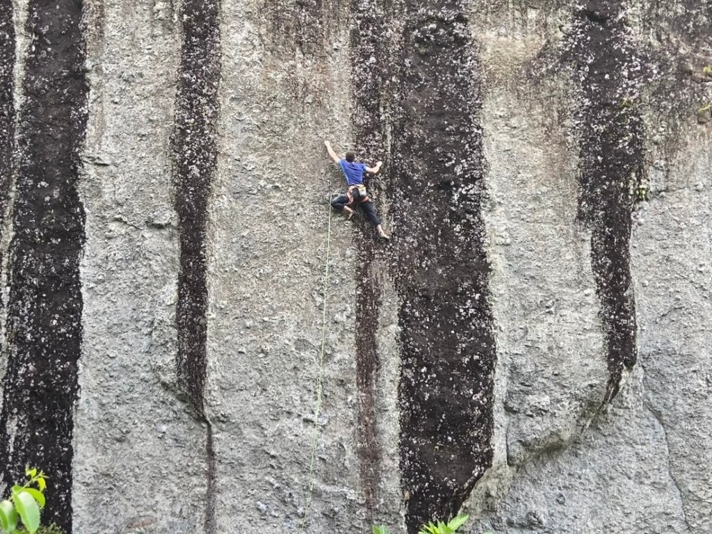 Climber on grey conglomerate cliff with huge black streaks running down it like a zebra pattern.