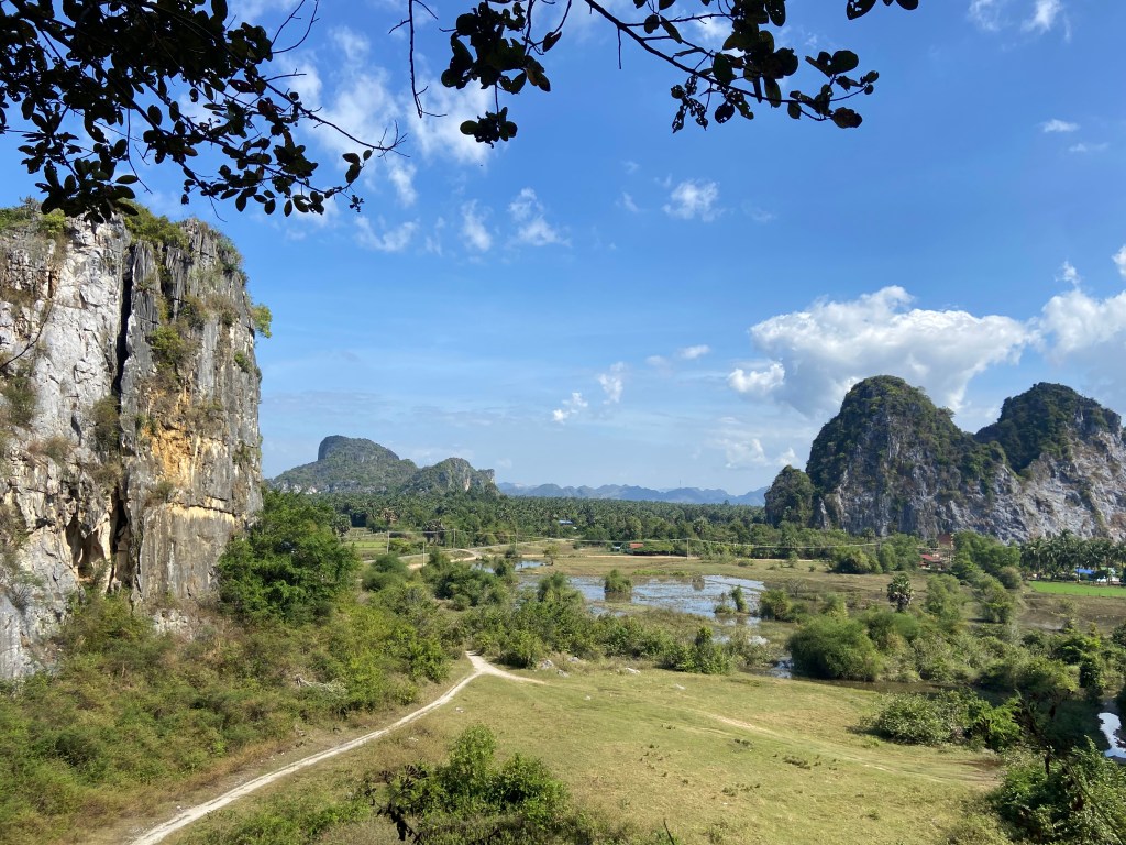 Limestone cliffs with vegetation on top of them rising out from the green rice fields with blue but cloudy skies
