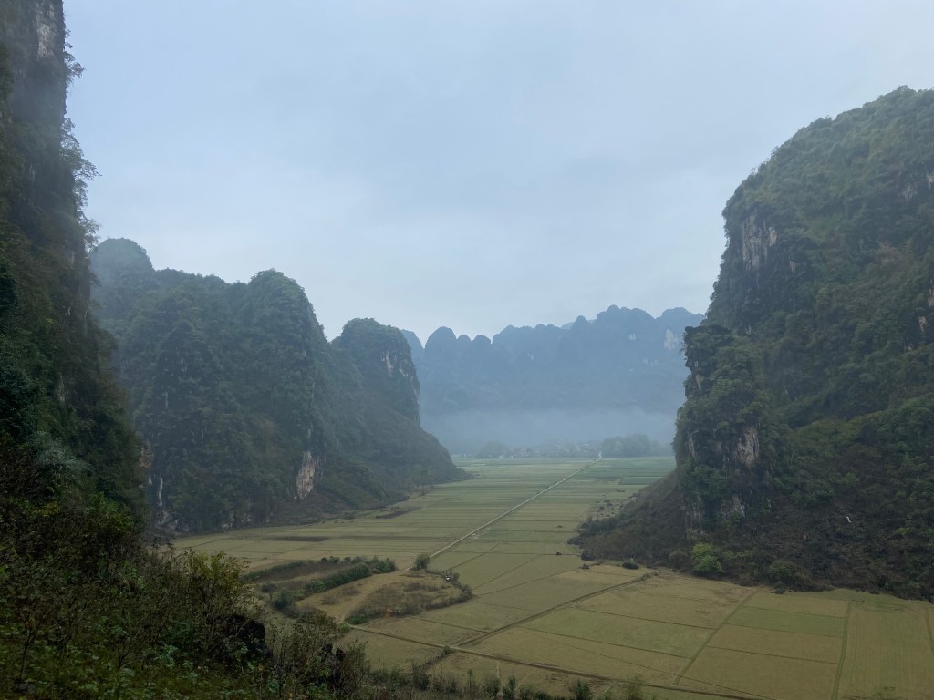 Limestone mogotes covered in lush vegetation rising from the completely flat, green rice paddies forming a valley in the Hữu Lũng area. The mist sits in the valley floor and in the background are more cliffs. 