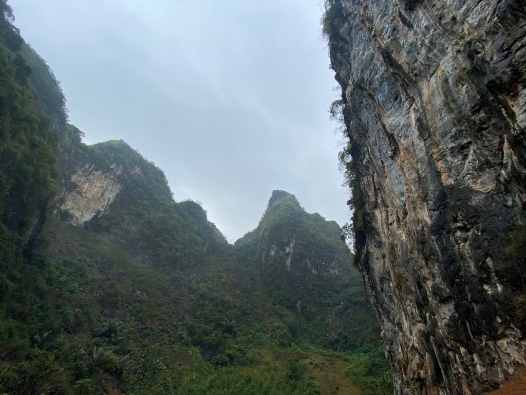 Wet limestone cliff in a narrow, lush green valley