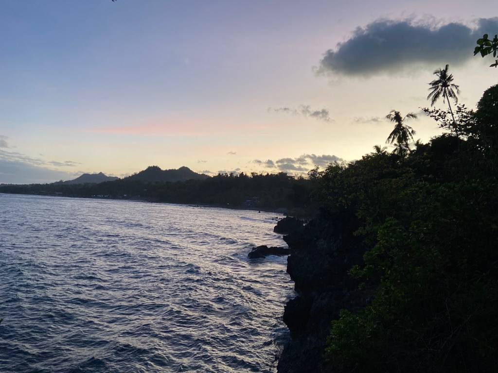 A coast line at sunset which is lined with jungle and palm trees which are silhouetted by the sky. 