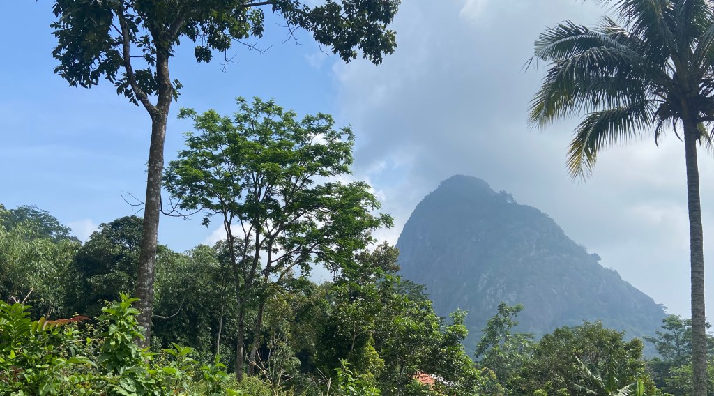 Steep sided mountain of Gunung Parang in the haze with jungle and palm trees in front. 