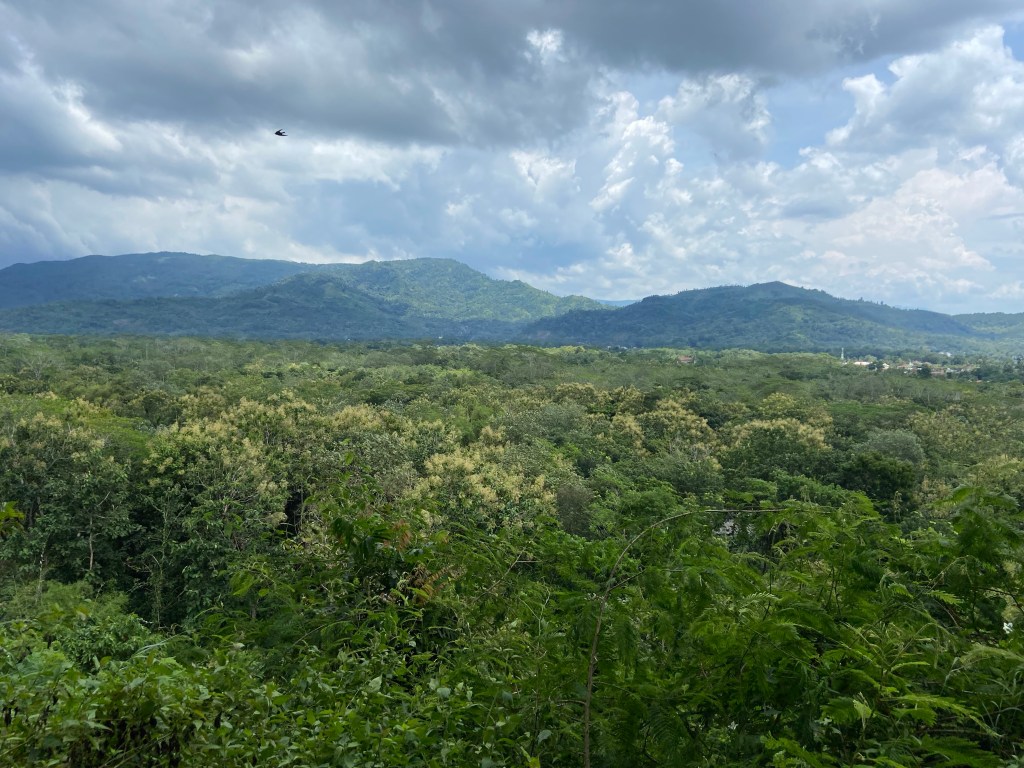 Looking over the top of the jungle at Telung Lintang. In the background are more forested hills. In the forrest is a small village with a minaret from a Mosque standing tall over the jungle. 