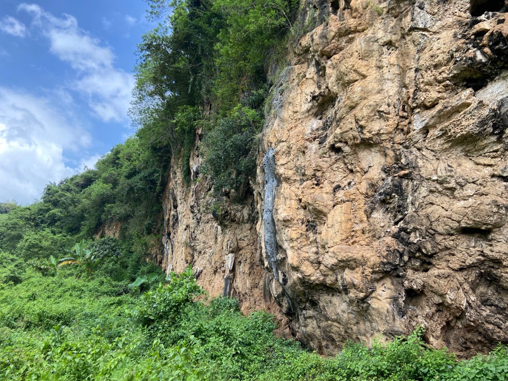 Orange limestone wall of Lembah Kera which has natural textures and tufas. There is jungle at the top and bottom of the cliff. 