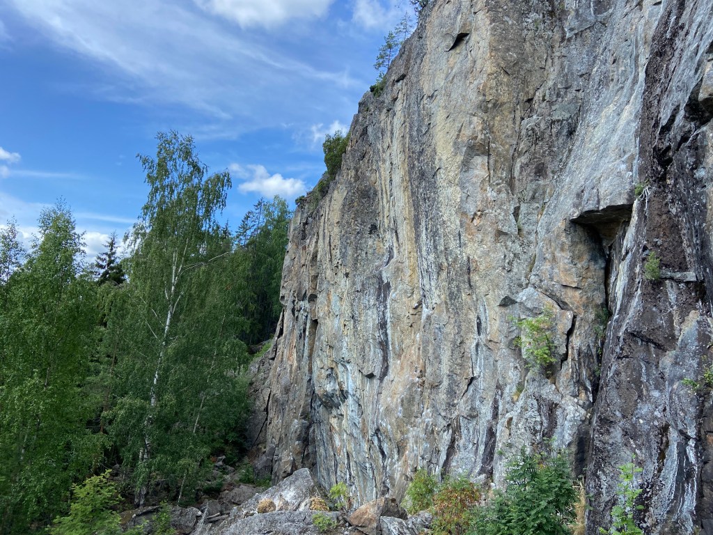 Vertical grey and cream granite cliff among some tees at its base. 