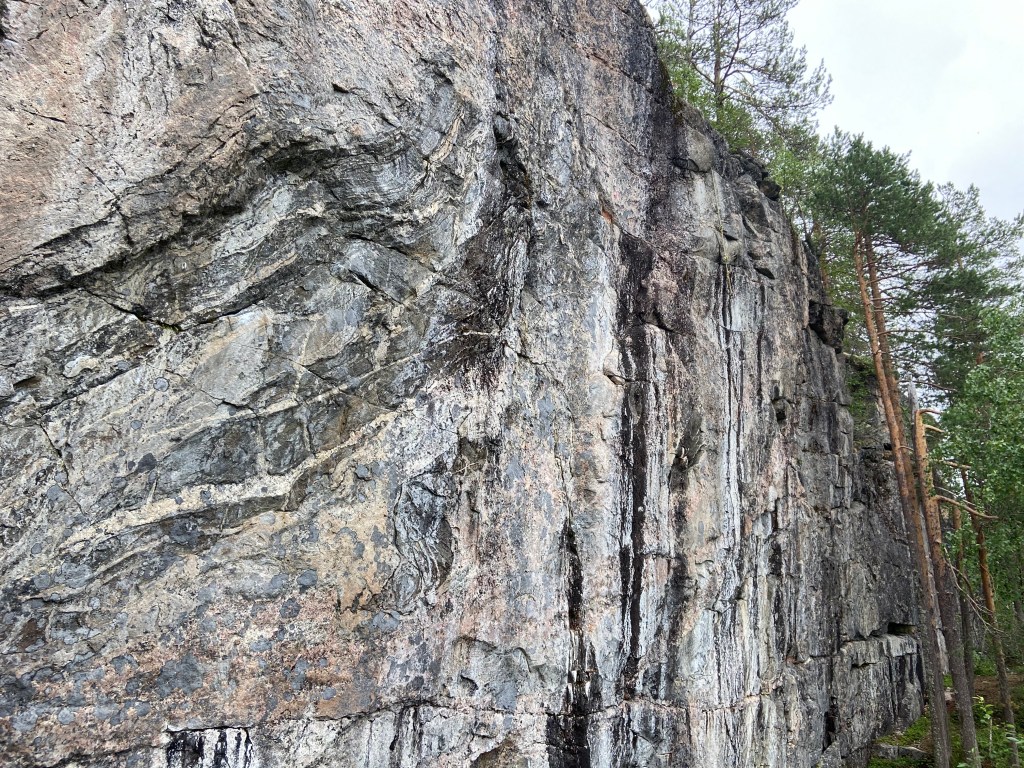 Granite crag with tall pine trees at the base which shadow the tall crag. There are interesting striations and features in the rock 