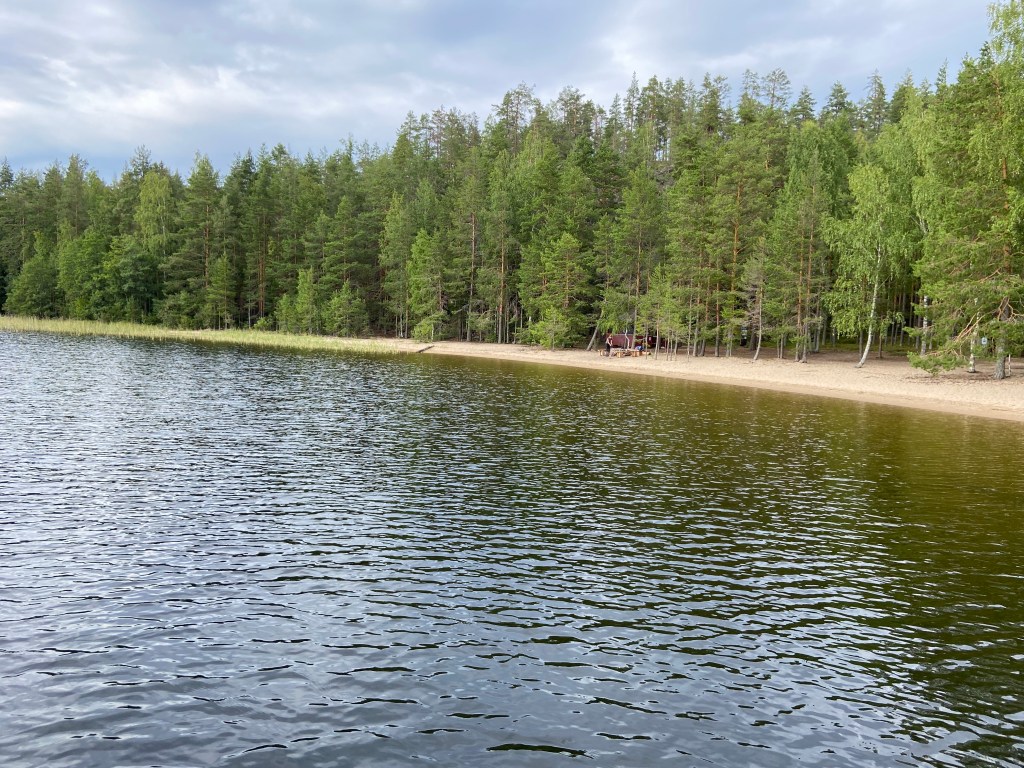 Beach and bbq area on the lake side surrounded by forest