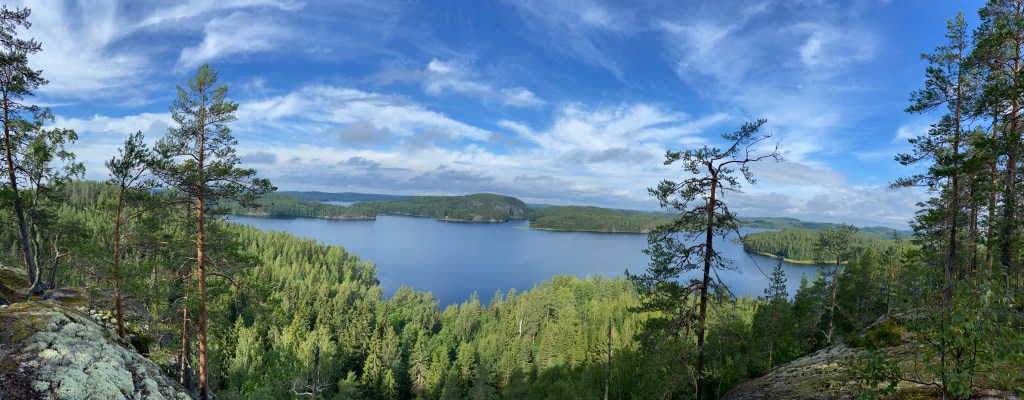 Looking out on the top of the crag above the pine trees at the lake with forested islands and coastline 