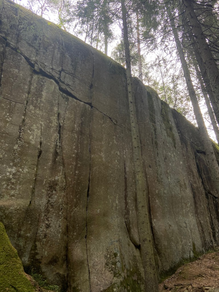 Grey granite wall with vertical crack features in a dark forest