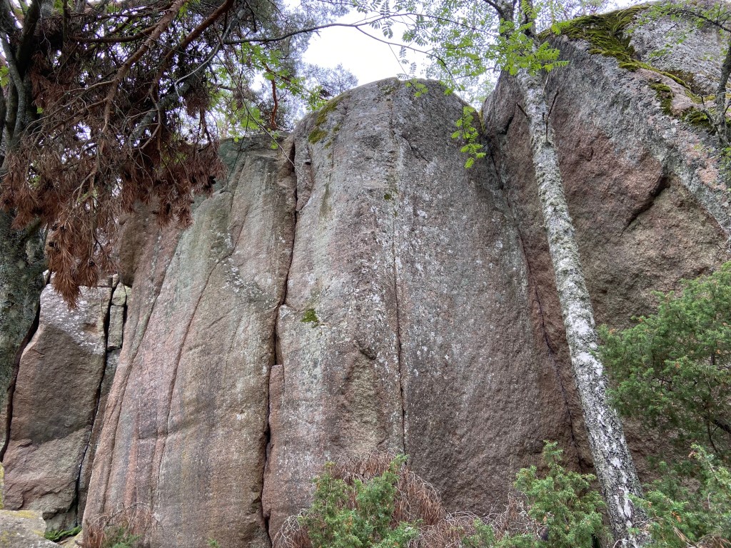 Pink and grey granite outcrop in the forest with several vertical crack features and corners 