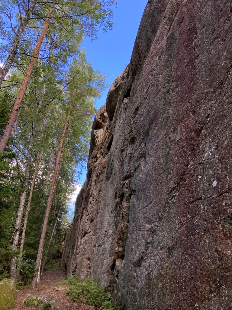 Pink granite crag in the forest. There are different features like vertical and rising cracks as well as small overhangs