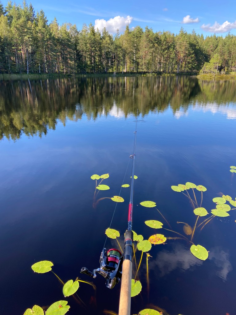 View of a fish rod looking out on a fresh and clean lake with lillypads in and the coast line is covered in pine trees