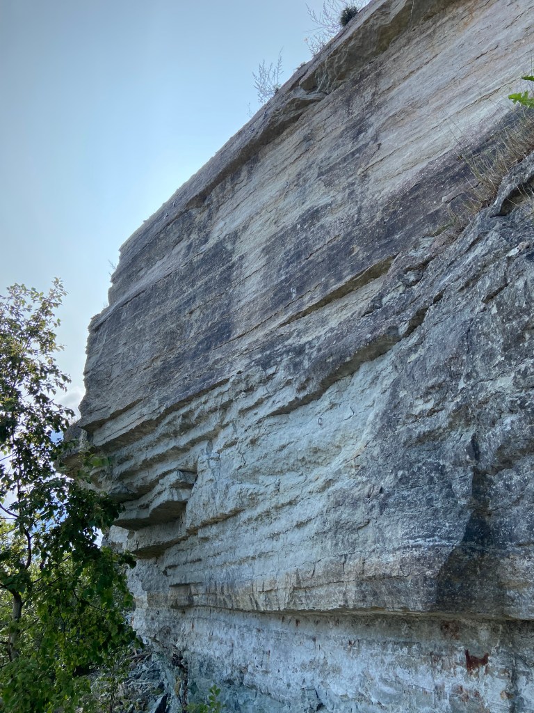 White and black limestone cliff with series of horizontal breaks and layers 