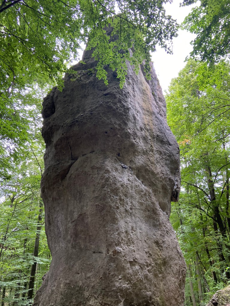 Limestone pinnacle which is slim but tall set within the forest.