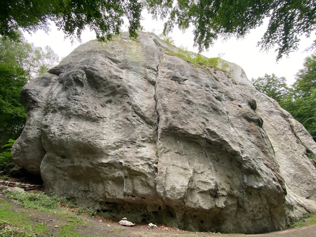 Compact sector of limestone which is stands alone in the forest. There are pockets and overhanging features as well as some cracks which run vertically up from the base.