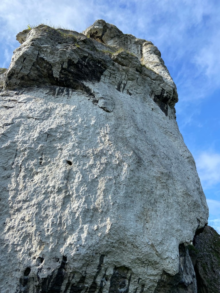 Blank looking white compact limestone which has a handful of pocket features. At the top is an overhanging wave like feature.