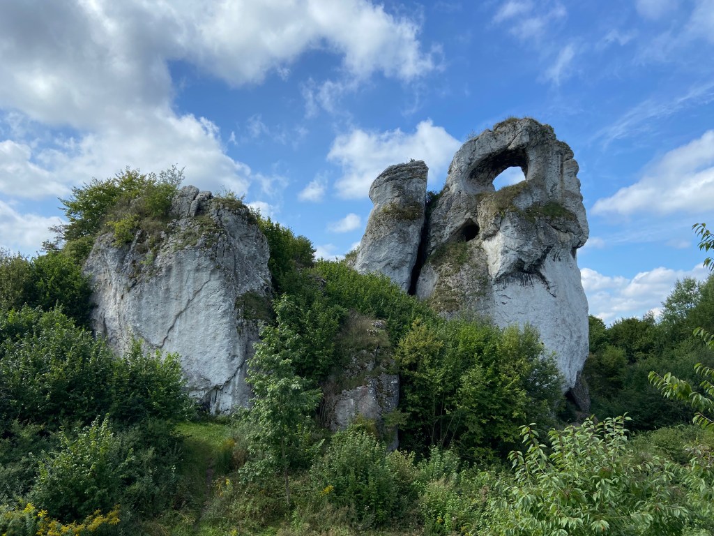 Limestone crag set within the forest with a large window (as translated from the polish name for the crag) like opening at the top of one of the sectors.